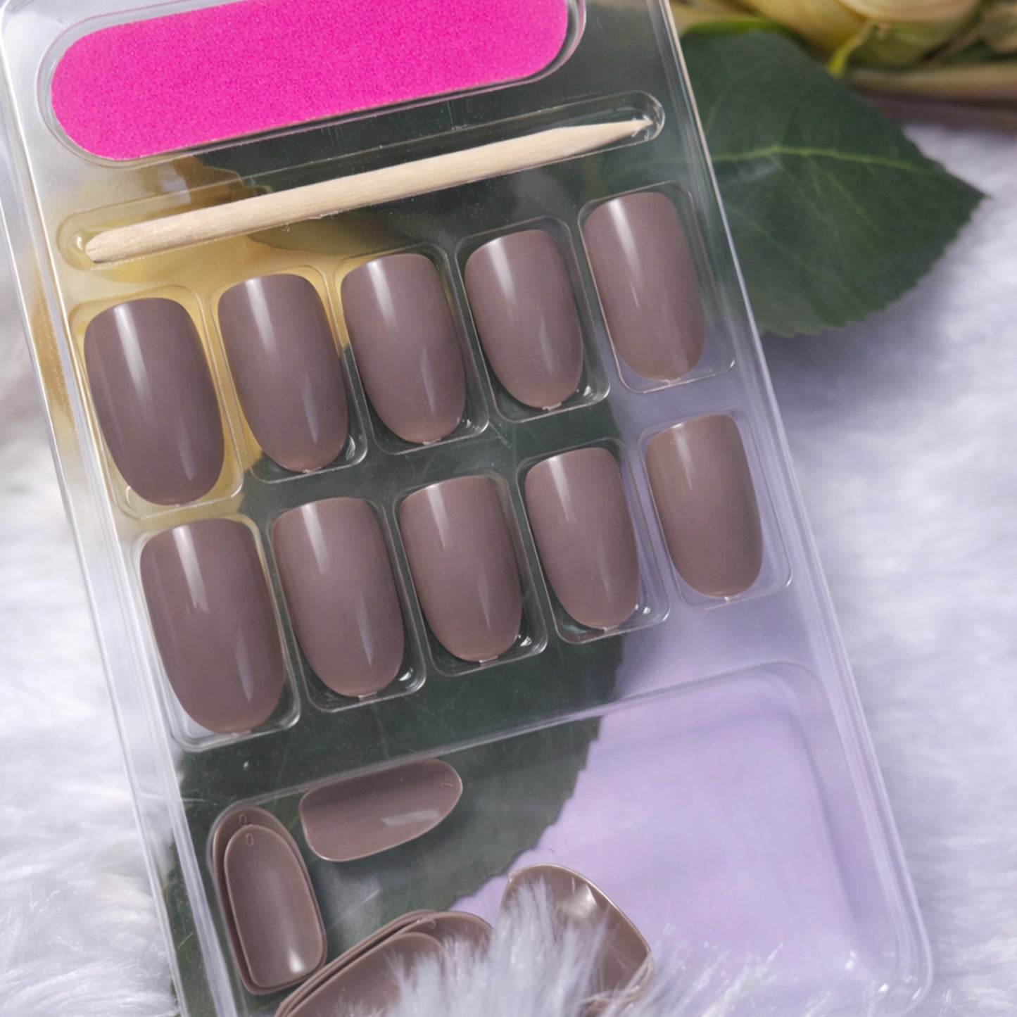 Cocoa Glow